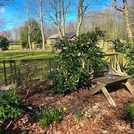 Сasa de vacaciones Cozy Nature With Patio, Parking And Wifi